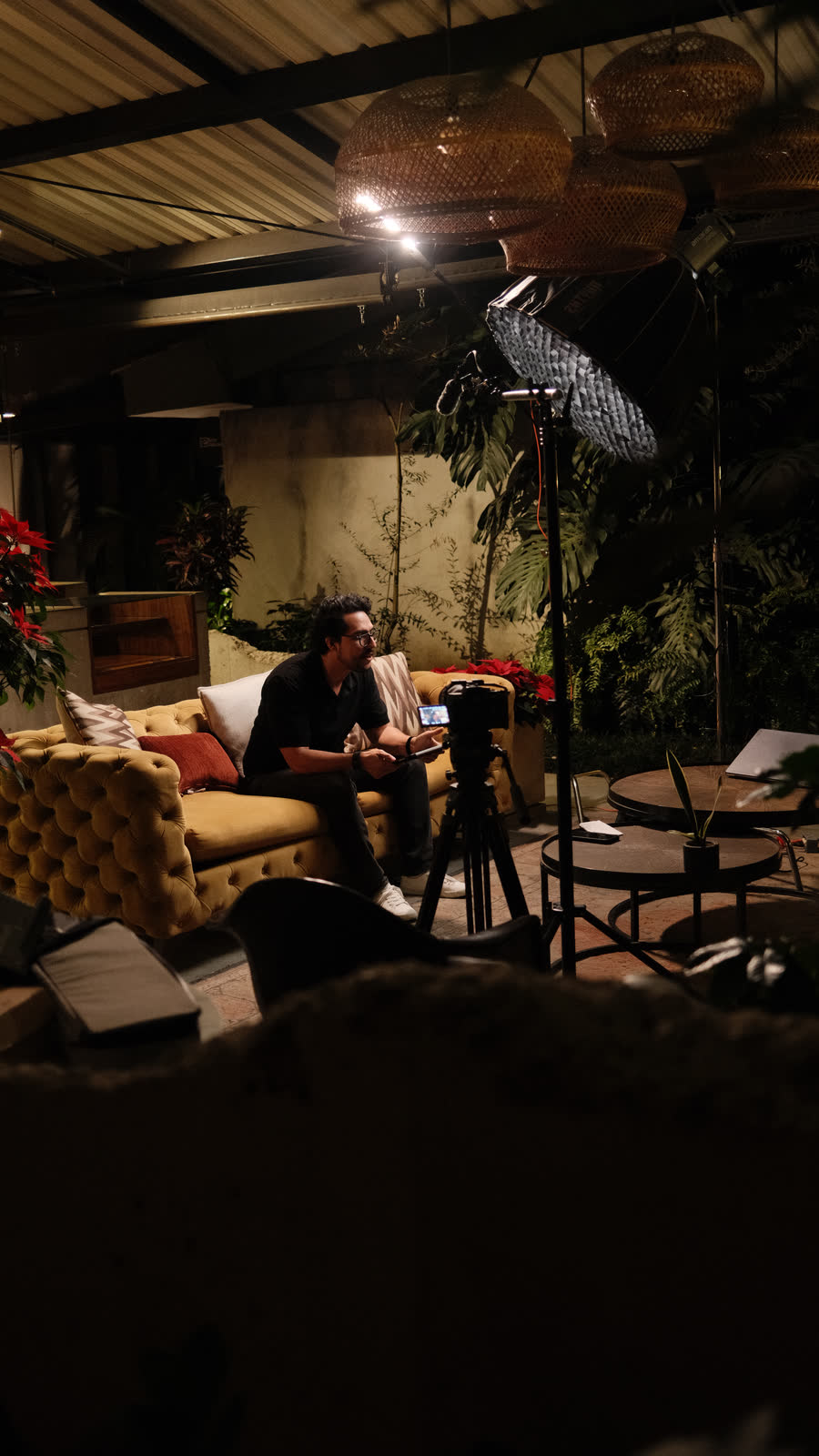 El set completo: sillón, luces y plantas